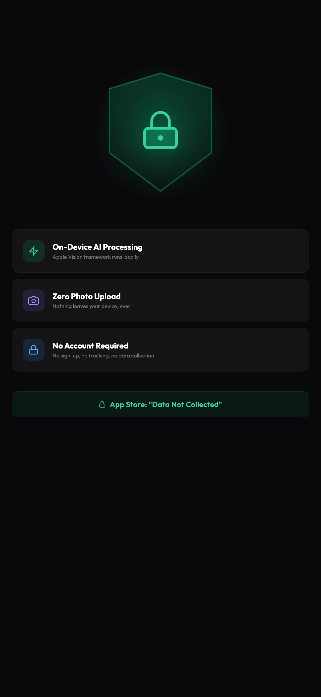 Snapsift privacy screen: on-device AI processing, zero photo upload, no account required, App Store label Data Not Collected